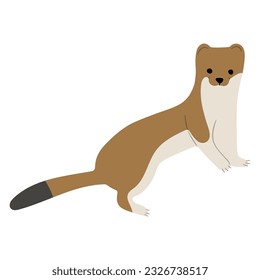 Stoats,ermine and weasels cute Single 27 on a white background, vector illustration. 