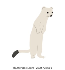 Stoats,ermine and weasels cute Single 28 on a white background, vector illustration. 