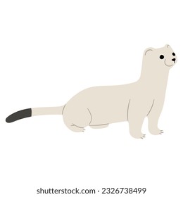Stoats,ermine and weasels cute Single 29 on a white background, vector illustration. 
