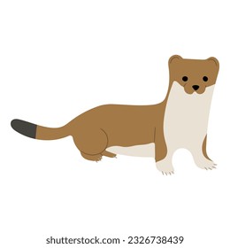 Stoats,ermine and weasels cute Single 31 on a white background, vector illustration. 