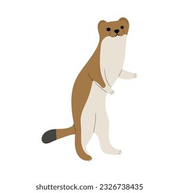 Stoats,ermine and weasels cute Single 32 on a white background, vector illustration. 