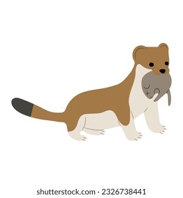 Stoats,ermine and weasels cute Single 33 on a white background, vector illustration. 