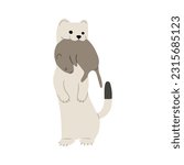 stoats,ermine and weasels cute single 5 on a white background, vector illustration. Stoats have a long, thin body with a tail that ends in a bushy black tip.