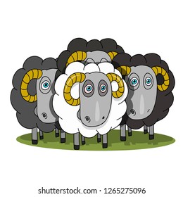 Stock Illustration Herd of Rams on a White Background