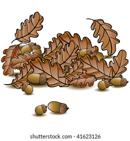 Stock illustration vector decorative autumn background with oak leaves and acorns
