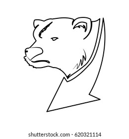 Stock market bear