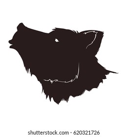 Stock market bear