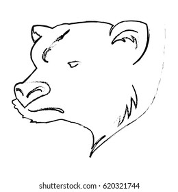 Stock market bear