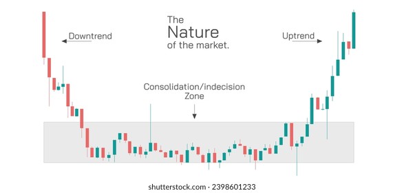 Stock market Investing and trading strategies infographics vector illustration. From beginner to expert level information.