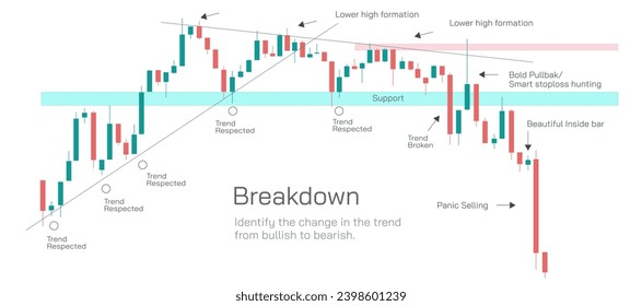 Stock market Investing and trading strategies infographics vector illustration. From beginner to expert level information.