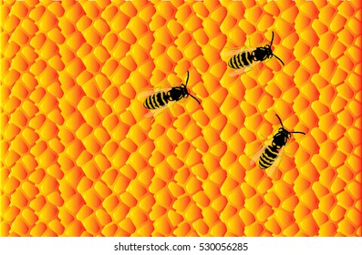 Stock Photo - Ear of corn - food background