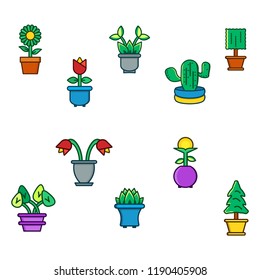 Stock plant & flower icon