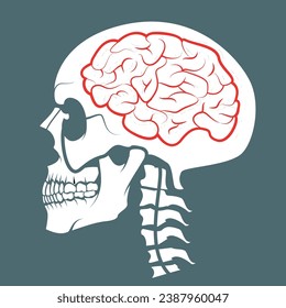 Stock Skull With A Brain Vector And Icon