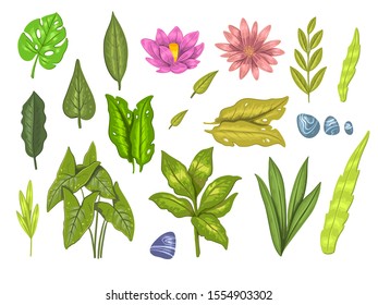 Stock tropical set with leaves and flowers. Exotic plants in realistic style isolated on white. Vector objects for wedding design, invitations, postcards, etc.