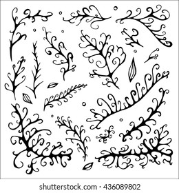 stock vector abstract leaf elements set. summer design elements for template