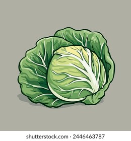 Stock vector of cabbage graphic object illustration.