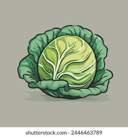 Stock vector of cabbage graphic object illustration.