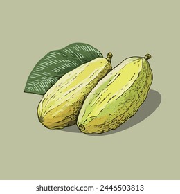 Stock vector of carambola graphic object illustration.