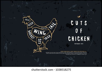 Stock vector chicken cuts diagram in the style of handmade graphics. Illustration with rough texture. Color print on black background