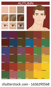 Stock vector color guide with color names. Eyes, skin, hair color. Seasonal color analysis palette for autumn type of male appearance. Face of young man.