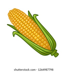 stock vector of corn graphic object illustration