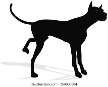 stock vector of dog silhouette standing in front of camera over white background