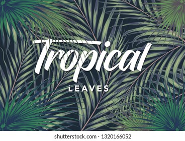 stock vector exotic tropical with jungle plants, exotic pattern with palm leaves background