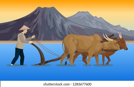 Bull Plowing Farmer Field Stock Vectors, Images & Vector Art | Shutterstock