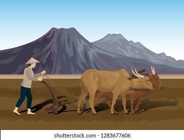 Stock Vector Farmers Plowing Field Oxen Stock Vector (royalty Free 