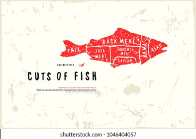 Stock vector fish cuts diagram in the style of handmade graphics. Illustration with rough texture. Color print on white background