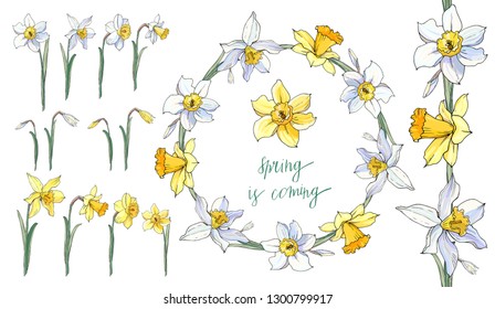 Stock vector floral set of seamless flower brush from narcissuss and beautiful wreath.  Isolated and hand drawn illustration. Floral design, flower backdrop. Festive hand drawn pattern,  spring flower