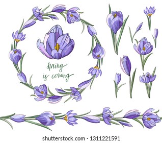 Stock vector floral set of seamless flower brush from crocuses and beautiful wreath.  Isolated and hand drawn illustration. Floral design, flower backdrop. Festive hand drawn pattern,  spring flowers.