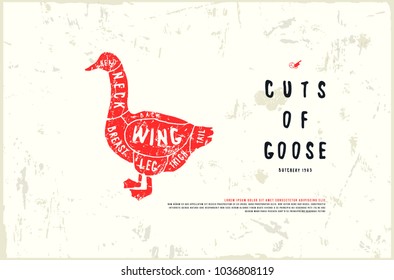 Stock vector goose diagram in the style of handmade graphics. Illustration with rough texture. Color print on white background