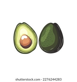 Stock Vector Graphics avocado halves in hand draw style. On a white background