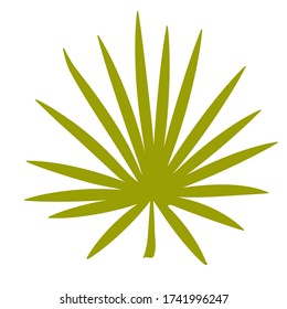 Stock Vector Graphics green palm twigs. Tropical plant with green curved leaves. Beautiful plant on a white background. T-shirt printing, print design, flat design, sticker, design and poster design