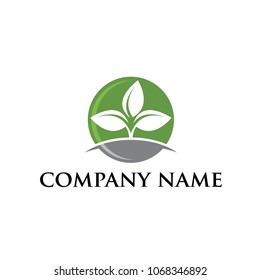 stock vector green leaf eco logo design template
