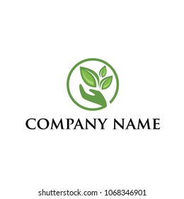 stock vector green leaf eco logo design template