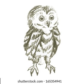 stock vector hand drawn owl illustration