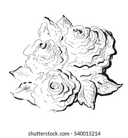 stock vector hand drawn roses it can be used for decorating and adult coloring page mono color black ink illustration
black-and-white Illustration of roses

