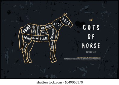 Stock vector horse cuts diagram in the style of handmade graphics. Illustration with rough texture. Color print on black background