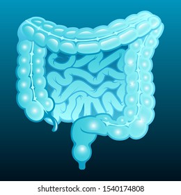 stock vector of human intestines, internal schema. medical, anatomy, organs, and health care concept. vector illustration background.