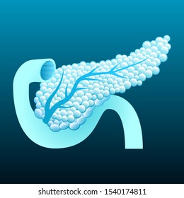 stock vector of human pancreas, internal schema. medical, anatomy, organs, and health care concept. vector illustration background.