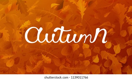 Stock vector illustration autumn falling leaves on background. Autumnal foliage fall and poplar leaf flying in wind motion blur. Orange design for autumn design EPS10