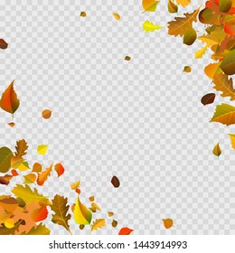 Stock vector illustration autumn falling leaves on transparent checkered background. Autumnal foliage fall and poplar leaf flying in wind motion blur. Red design for autumn design. EPS10