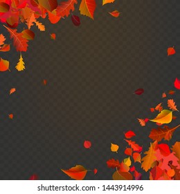 Stock vector illustration autumn falling leaves on transparent checkered background. Autumnal foliage fall and poplar leaf flying in wind motion blur. Red design for autumn design. EPS10