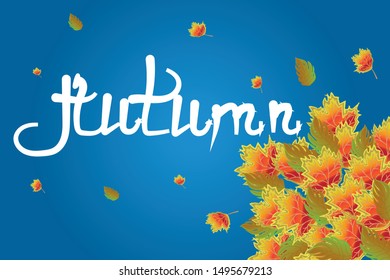 Stock vector illustration Autumn falling leaves. Autumnal foliage fall and poplar leaf flying. Autumn design. Templates for placards, banners, flyers, presentations, reports.