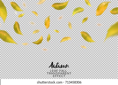 Stock vector illustration autumn falling leaves on transparent checkered background. Autumnal foliage fall and poplar leaf flying in wind motion blur. EPS10