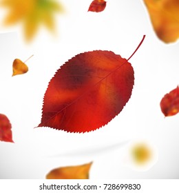 Stock vector illustration Autumn falling leaves. Autumnal foliage fall and poplar leaf flying in wind motion blur.
