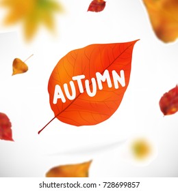 Stock vector illustration Autumn falling leaves. Autumnal foliage fall and poplar leaf flying in wind motion blur.