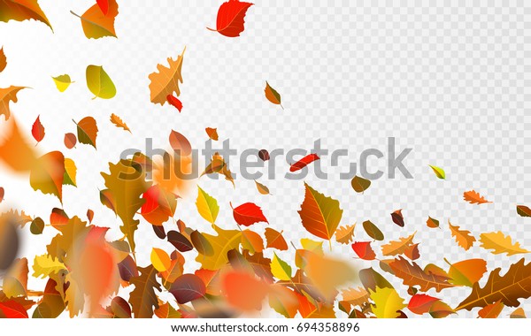 透明なチェックの背景に秋の落ち葉のストックベクターイラスト 秋の葉が落ち 風になびくポプラの葉がぼかします 秋のデザイン用オレンジ Eps10 のベクター画像素材 ロイヤリティフリー